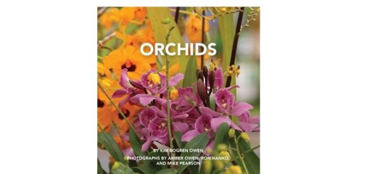 Feature IMage - Orchids