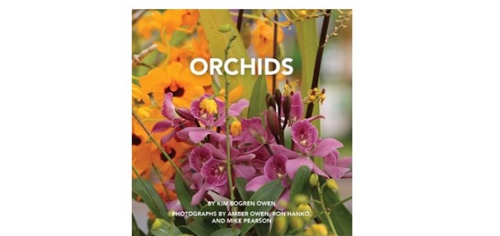 Feature IMage - Orchids