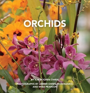 Orchids