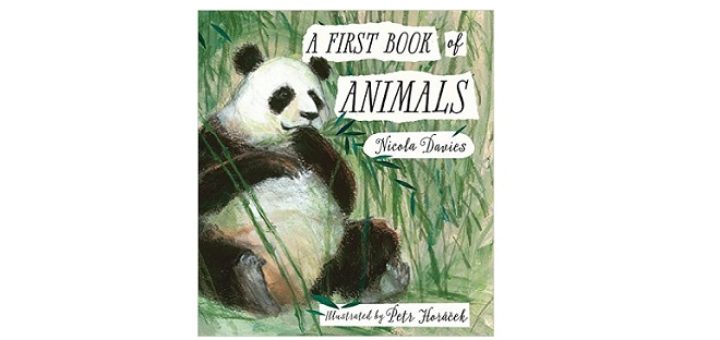 feature-image-a-first-book-of-animals