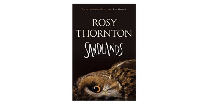 feature-image-sandlands-by-rosy-thornton