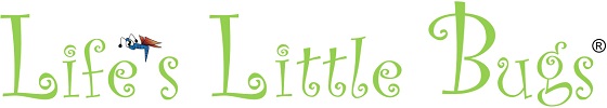 lifes-little-bugs-2