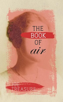 The Book of Air by Joe Treasure