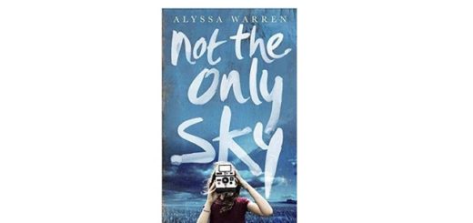 Feature Image - Not the Only Sky by Alyssa Warren book