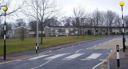 Zebra Crossing