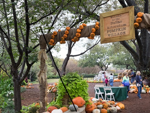 Dallas Arboretum