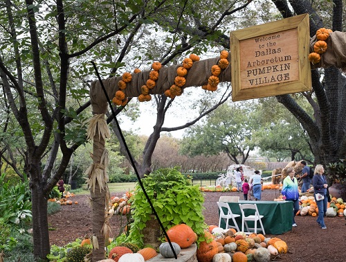 Dallas Arboretum