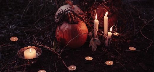 Halloween freestocks-org-155624