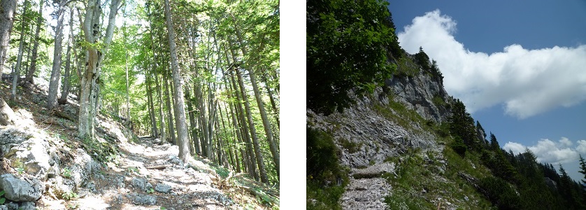 Woods-and-Stony-Trail-austria