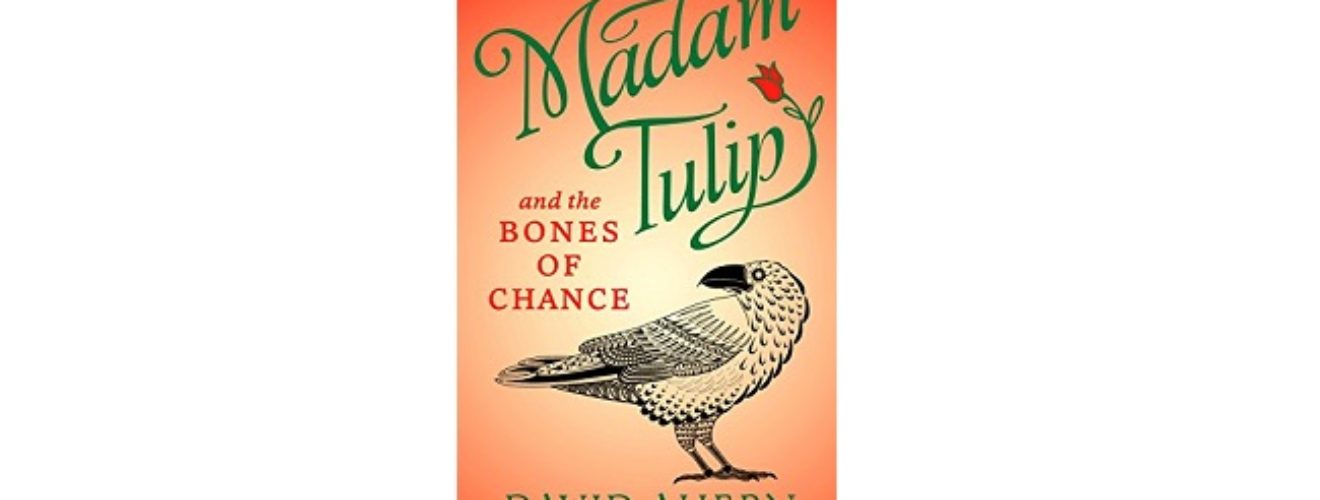 Feature Image - Madam Tulip and the Bones of Chance by David Ahern