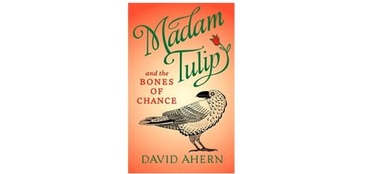 Feature Image - Madam Tulip and the Bones of Chance by David Ahern
