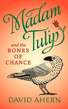 Madam Tulip and the Bones of Chance by David Ahern