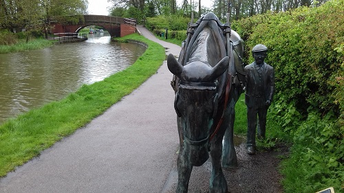 Boy with horse