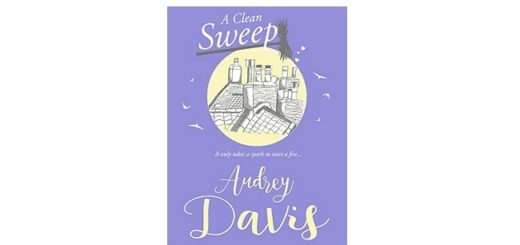 Feature Image - A Clean Sweep by Audrey Davis