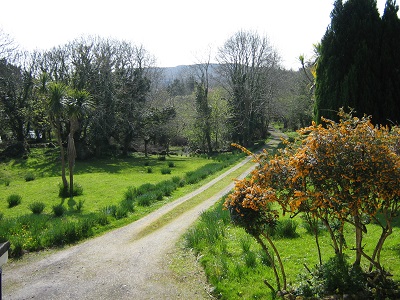 Writing Room View