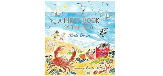 Feature Image - My First Book of the sea by Nicola Davies