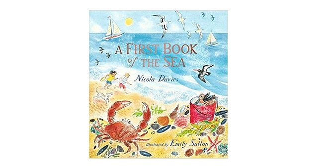 Feature Image - My First Book of the sea by Nicola Davies