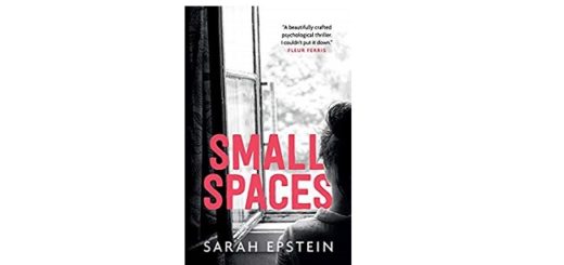 Feature Image - Small Spaces by Sarah Epstein