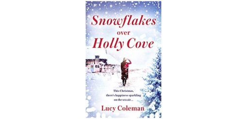 Feature Image - Snowflakes over Holly Cove by Lucy Coleman