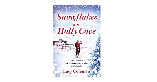 Feature Image - Snowflakes over Holly Cove by Lucy Coleman