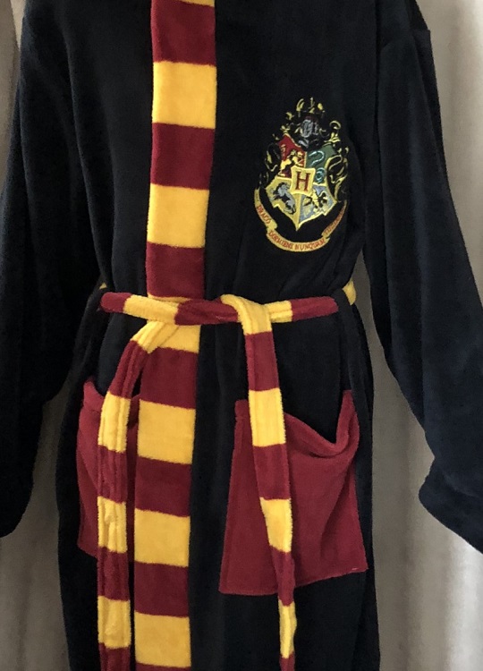 DG 2 Harry Potter