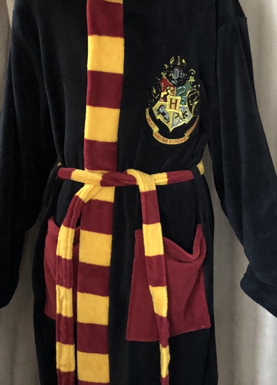 DG 2 Harry Potter