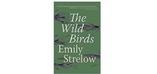 Feature Image - The Wild Birds by Emily Strelow