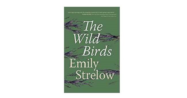 Feature Image - The Wild Birds by Emily Strelow