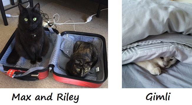 Rogers cats
