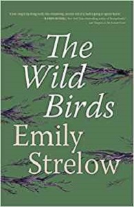 The Wild Birds by Emily Strelow