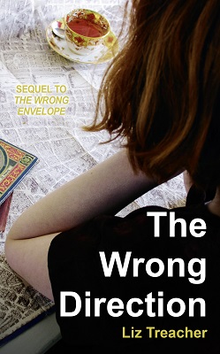 The Wrong Direction by Liz Treacher