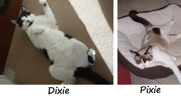 DIXIE and PIXIE