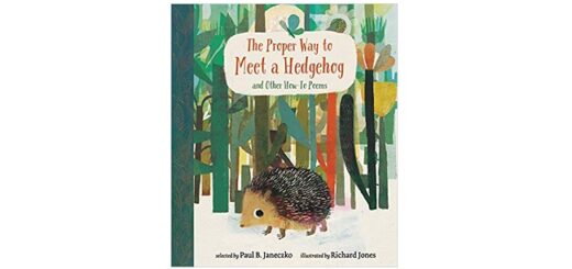 Feature Image - The Proper Way to Meet a Hedgehog