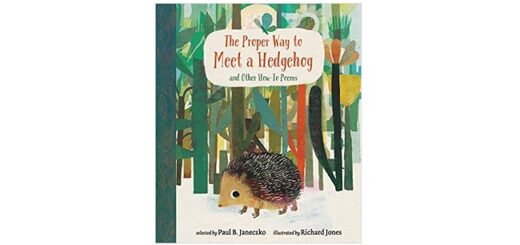 Feature Image - The Proper Way to Meet a Hedgehog
