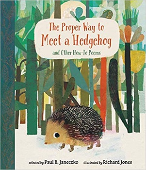 The Proper Way to Meet a Hedgehog