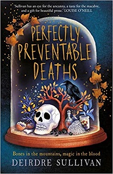 Perfectly Preventable Deaths by Deirdre Sullivan