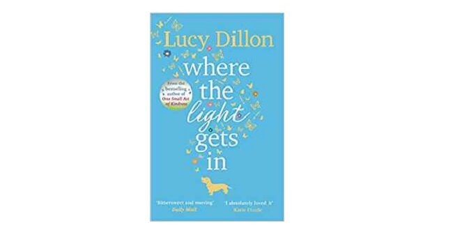 Feature Image - Where the Light Gets In by Lucy Dillon