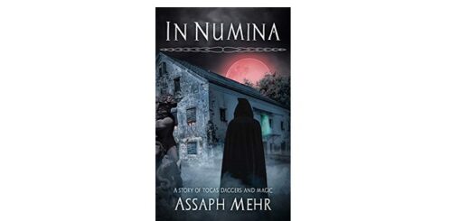 Feature Image - In Numina by Assaph Mehr