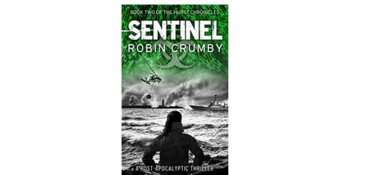 Feature Image - Sentinel by Robin Crumby