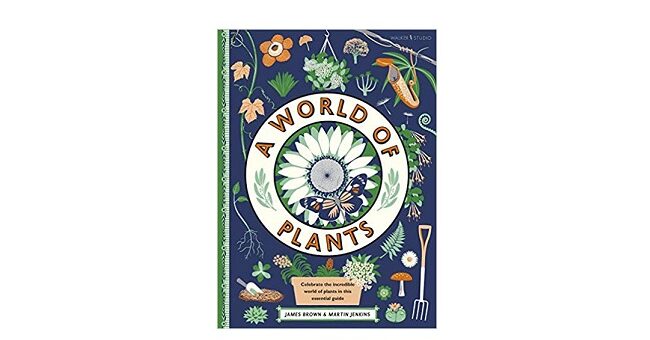 Feature Image - A World of Plants by Martin Jenkins