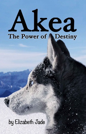 Akea the power of destiny by elizabeth jade