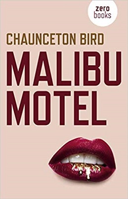 Malibu Motel by Chaunceton Bird