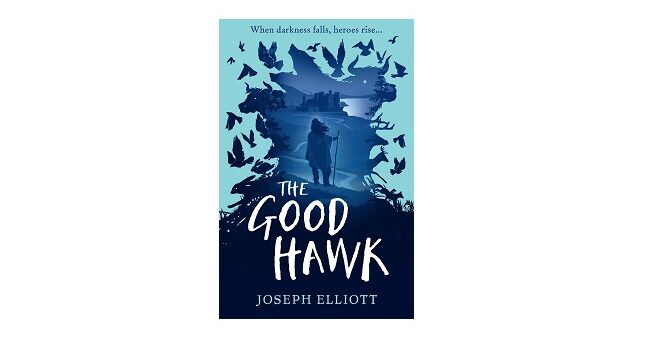 Feature Image - The Good Hawk by Joseph Elliott