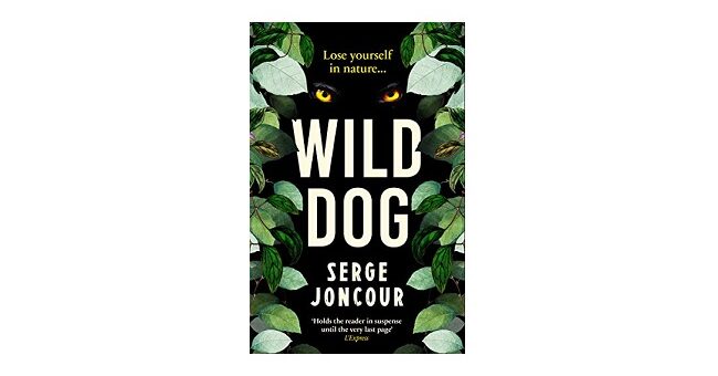 Feature Image - WIld Dog by Serge Joncour