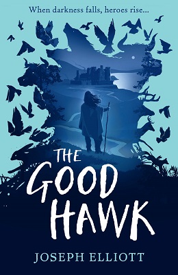 The Good Hawk by Joseph Elliott