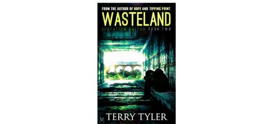Feature Image - Wasteland by Terry Tyler