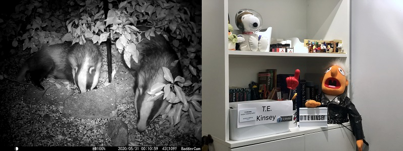 two badgers T.E. Kinsey