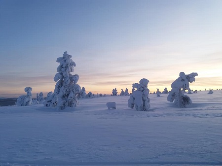 How my Life in Lapland Created Magic pic 1