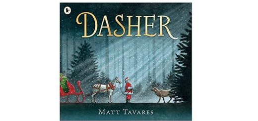 Feature Image - Dasher by Matt Tavares