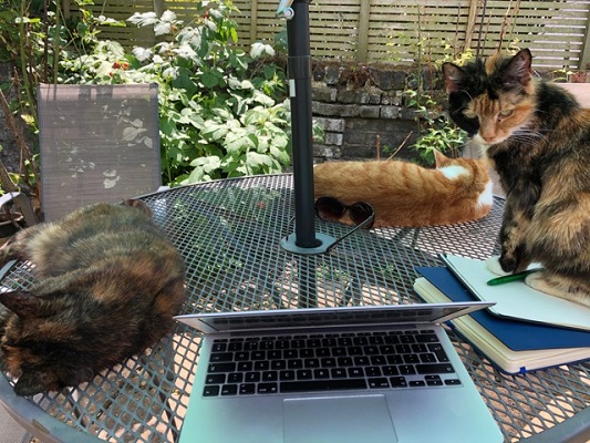 Anne Coates Cats